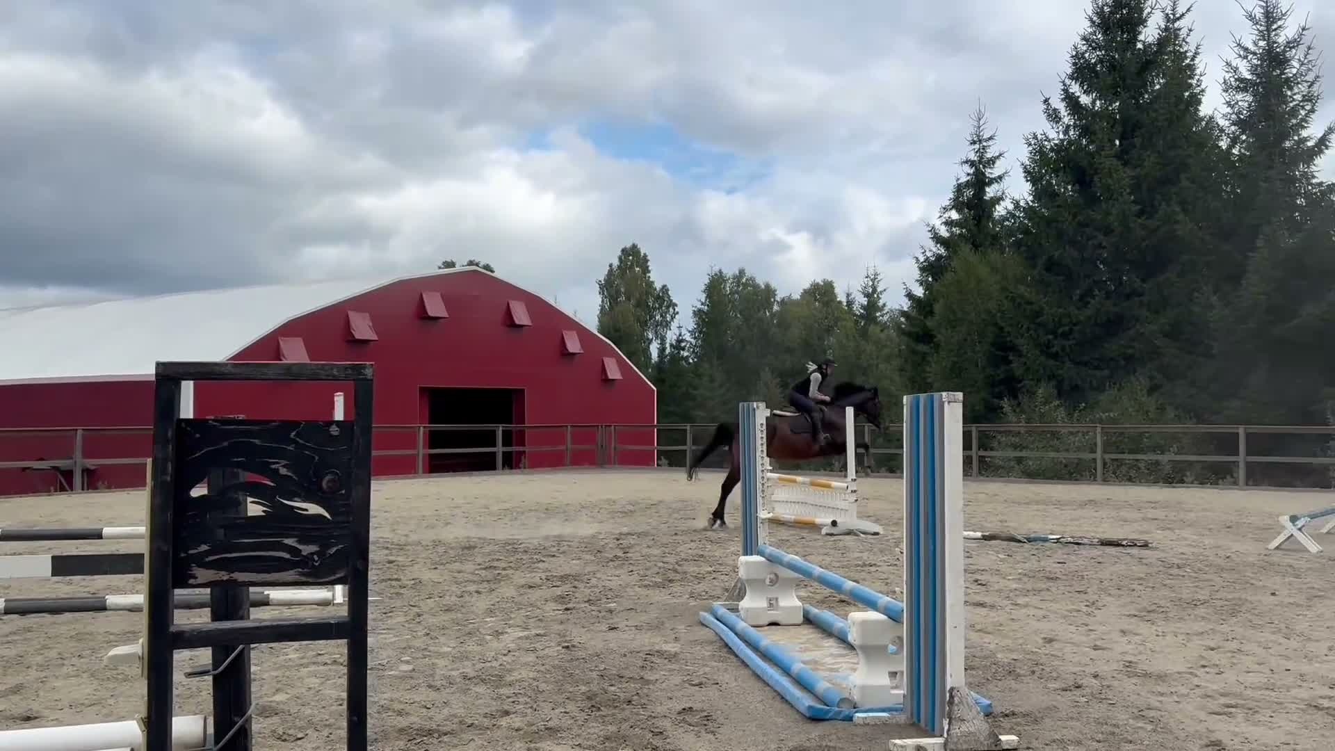 Hoppning hästar till salu: 4årigt sto e. Zezar hästak  i Hamneda - Video 1