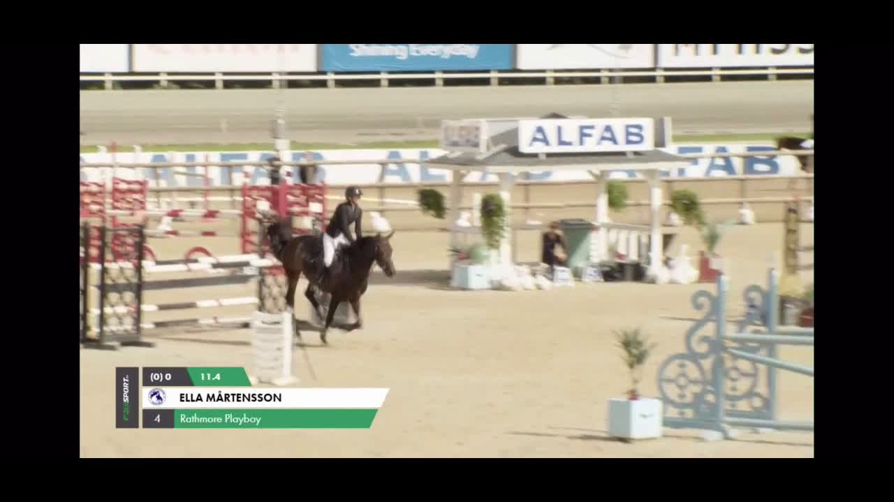 Hoppning hästar till salu: ✨Elitponny för de största klasserna✨ i Ekerö - Video 1