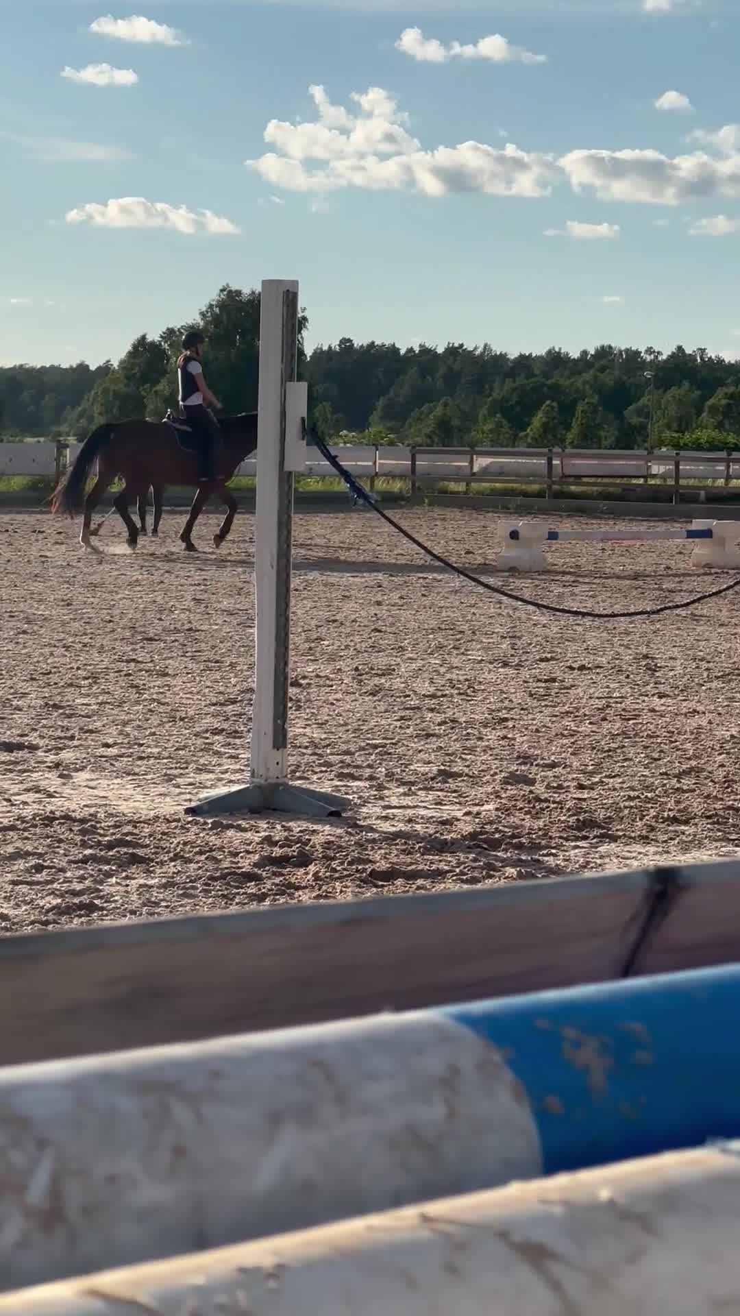  medryttarhäst sökes: Söker medryttarhäst  i Västervik - Video 2