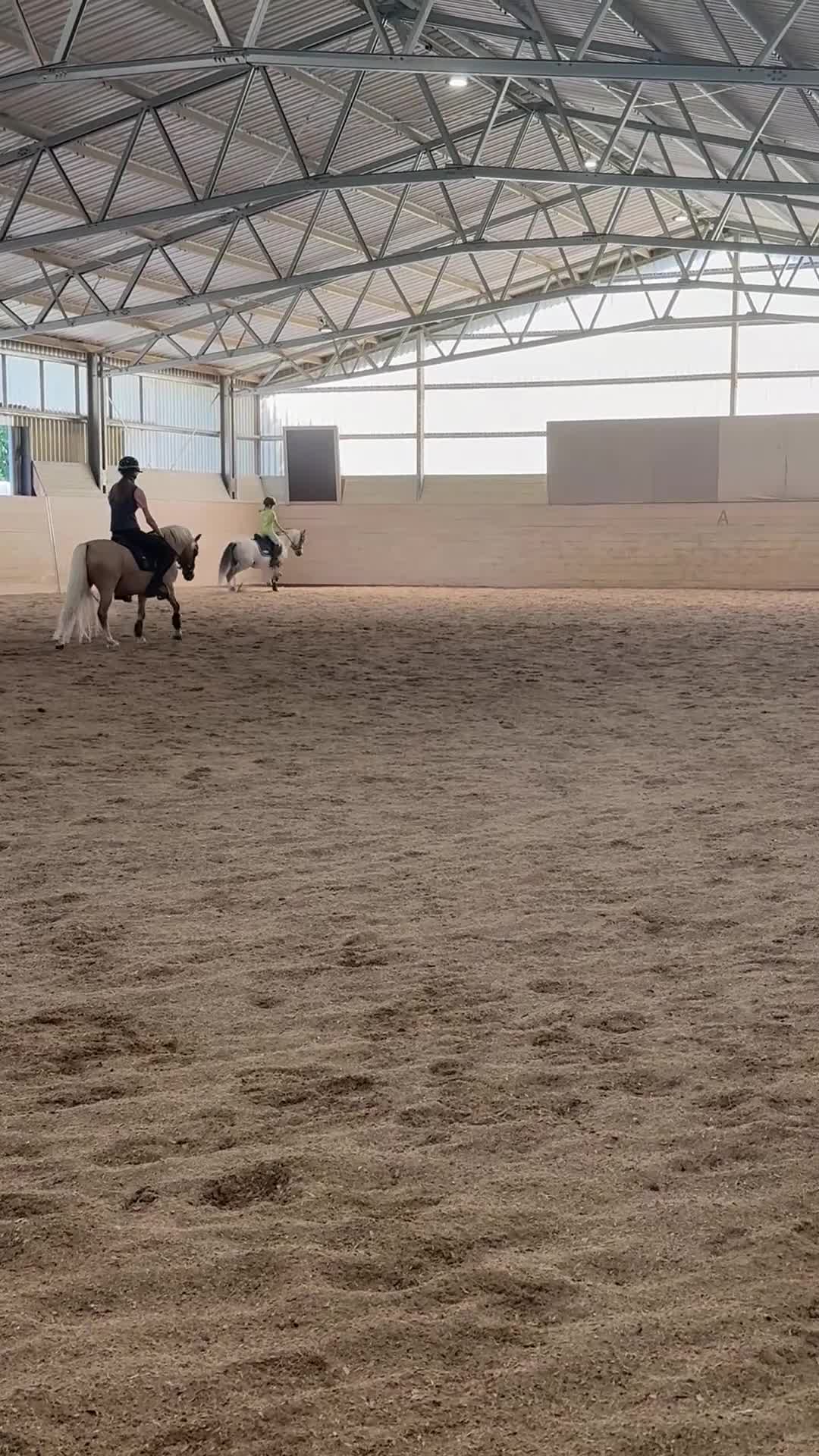 Allround hästar till salu: Flott B-ponny!  - Video 1