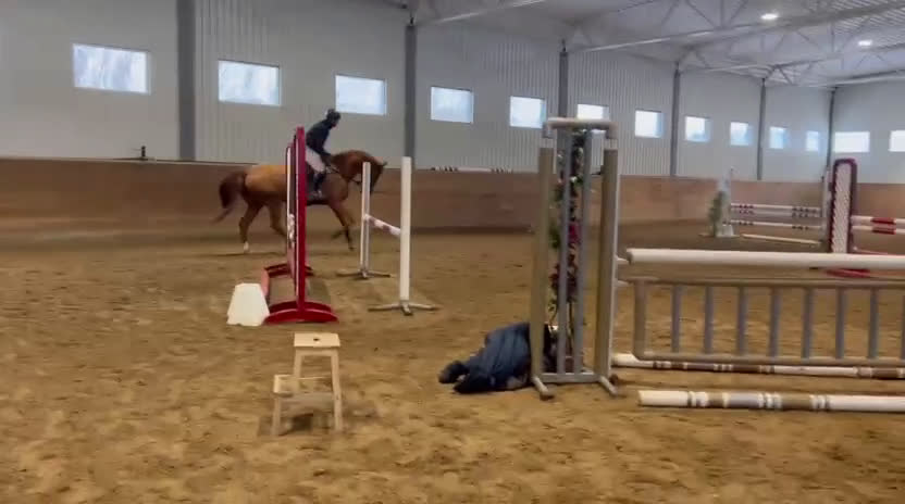 Hoppning hästar till salu: Kief Leo – modig schoolmaster i Höllviken - Video 4