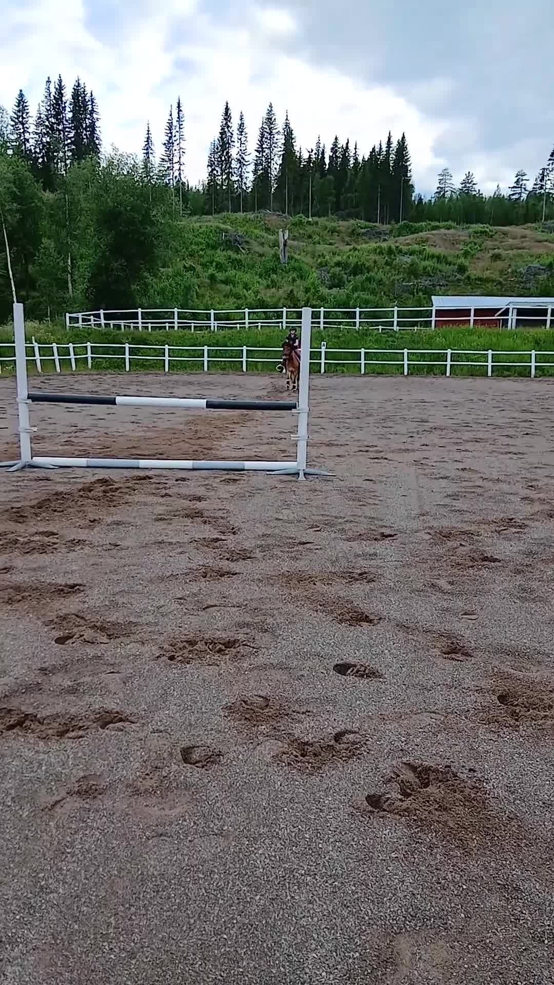 Allround hästar till salu: För den lilla tuffare ryttaren - Video 5