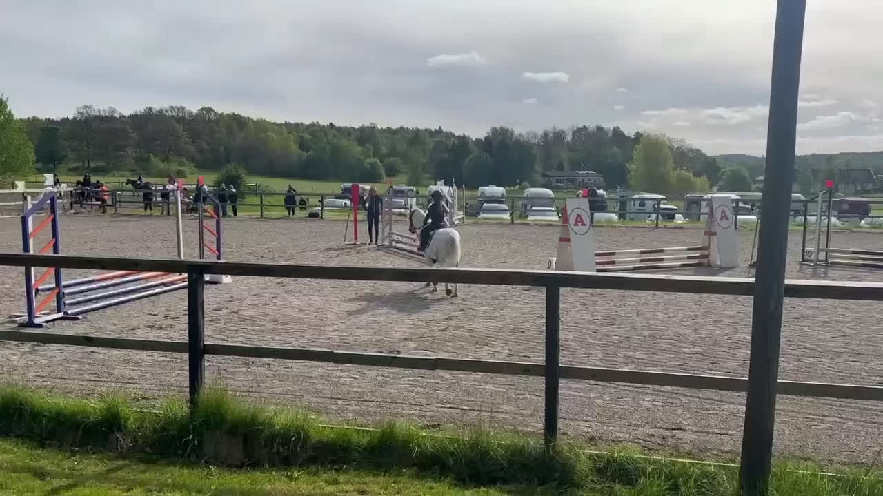 Allround hästar till salu: Hopponny - Video 2