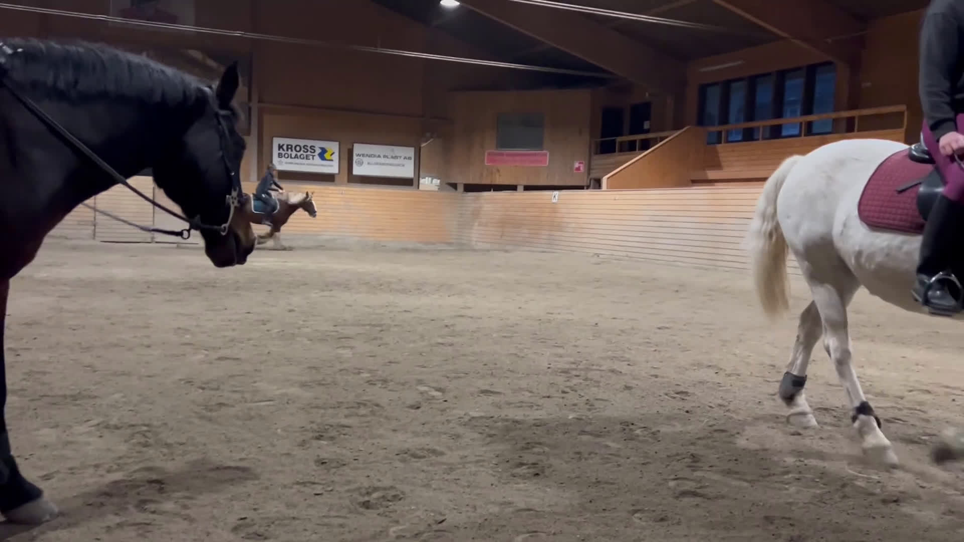 Allround hästar till salu: Intressekoll!! i Erikslund - Video 1