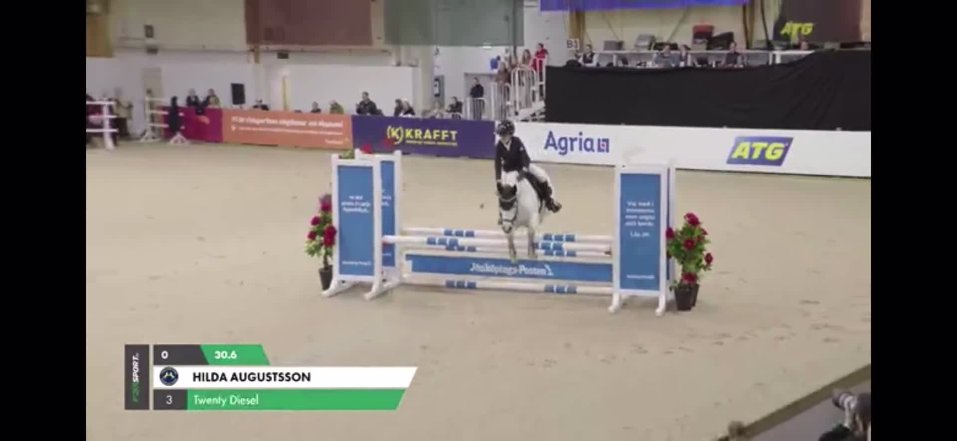 Allround hästar till salu: Prinsess ponny👑 i Trollhättan - Video 2