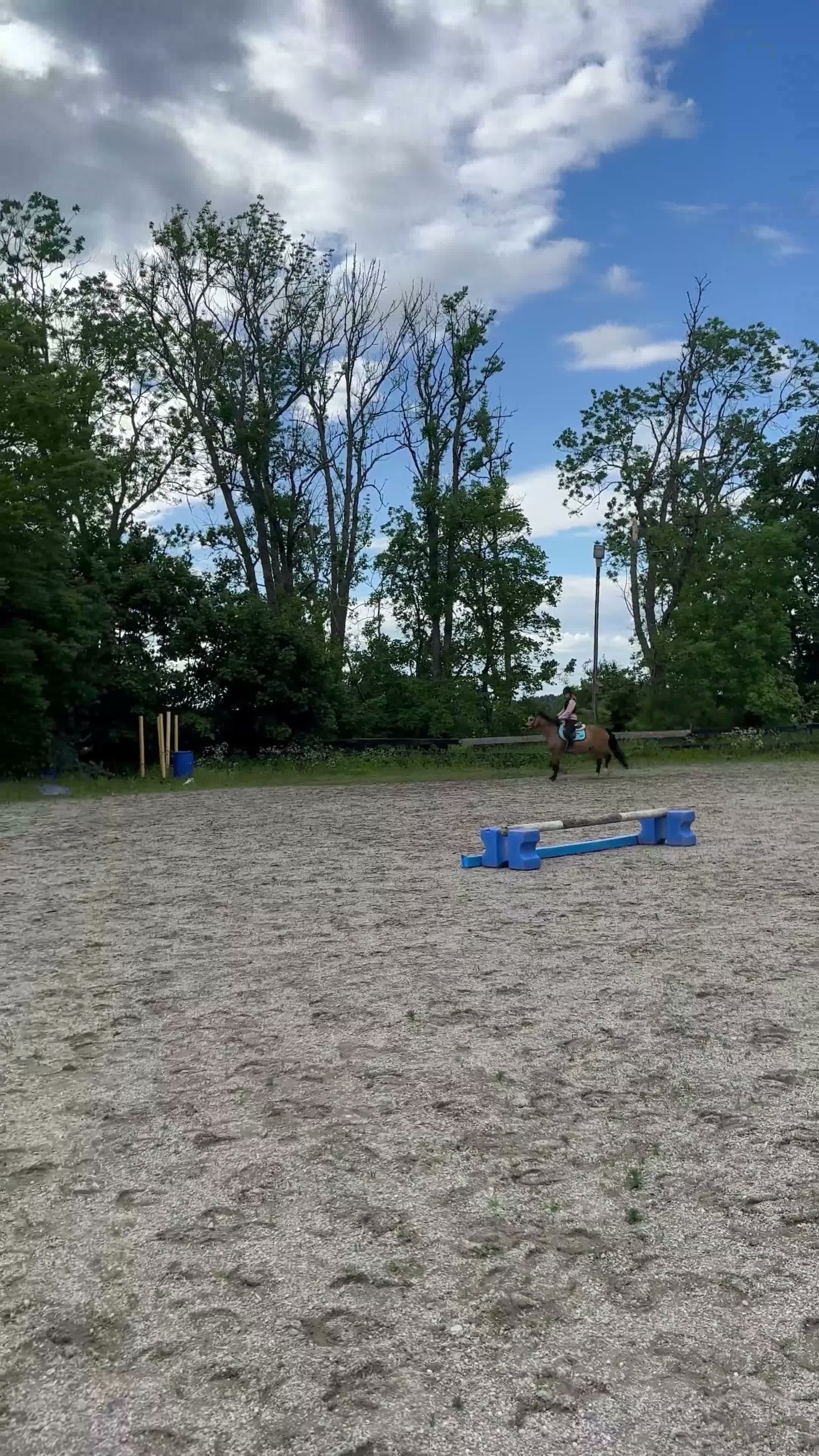 Allround hästar till salu: Hobbyhäst/skogsmulle i Eskilstuna - Video 1