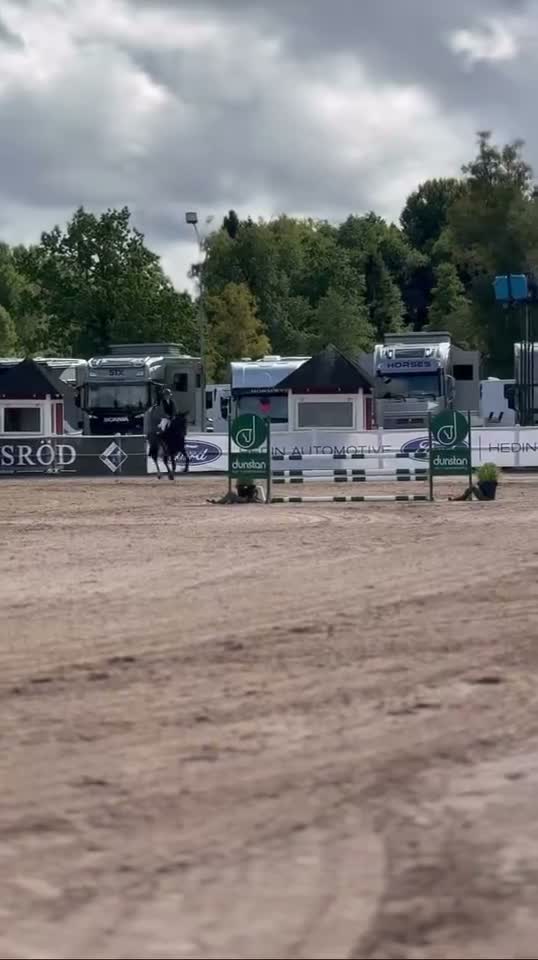 Hoppning hästar till salu: Blivande stjärna  - Video 1