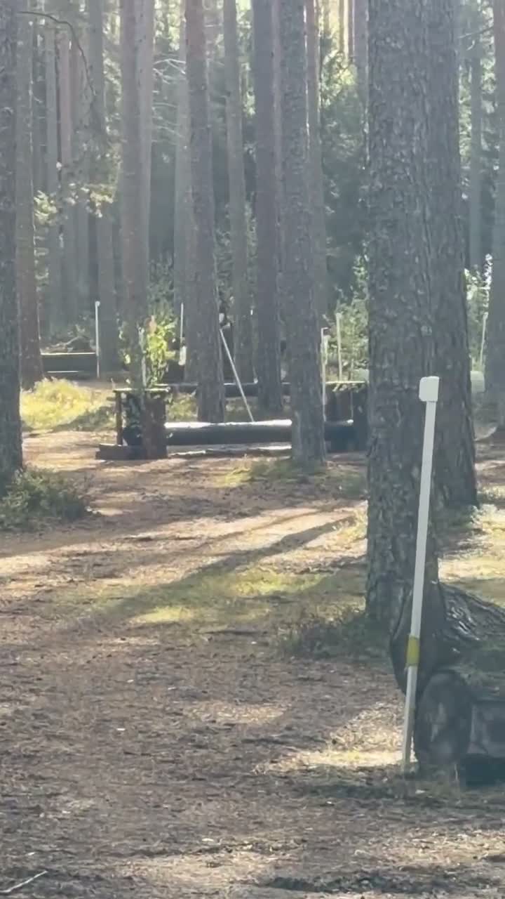 Allround hästar till salu: Charmig B-ponny - Video 1