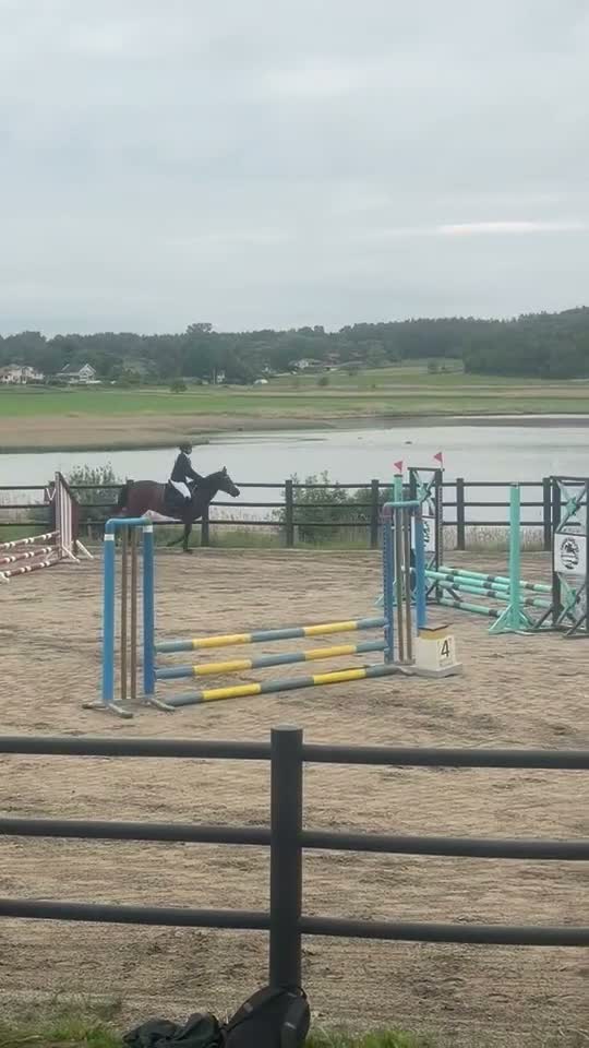 Allround hästar till salu: Maxad C-ponny Hoppning  - Video 5