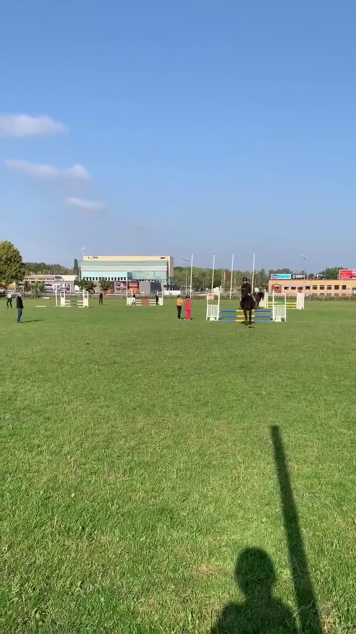 Allround hästar till salu: Qummin i Norrköping - Video 1