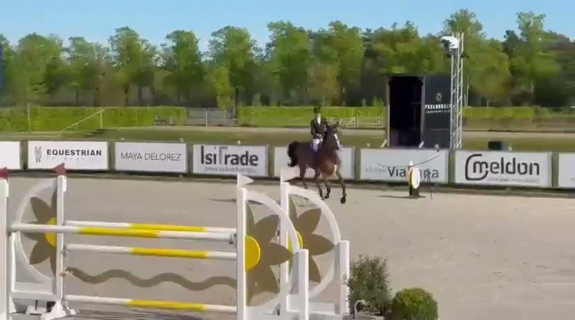 Hoppning hästar till salu: Tävlingssto med stort hjärta och kapacitet i Västerås - Video 1