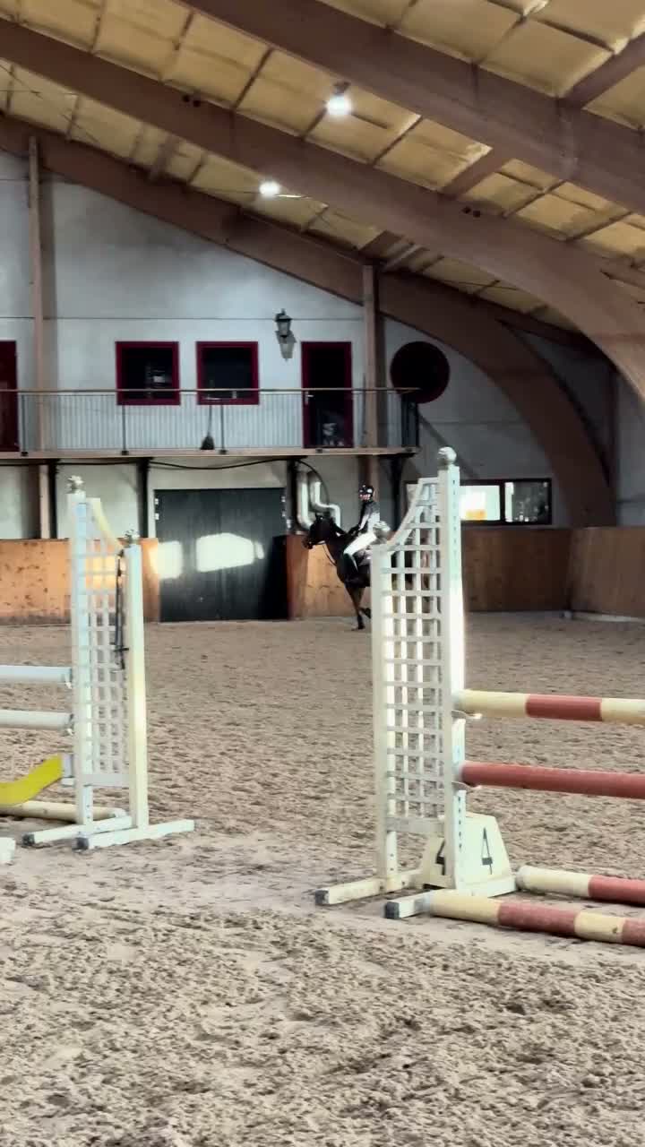 Hoppning hästar till salu: Trevligt personligt sto - Video 3