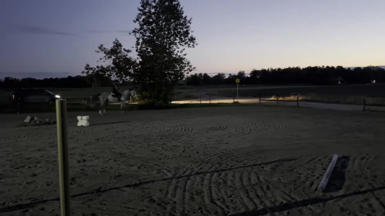 Allround hästar till salu: Vackert sto 6år! Clarimo - Heartbeat! - Video 4