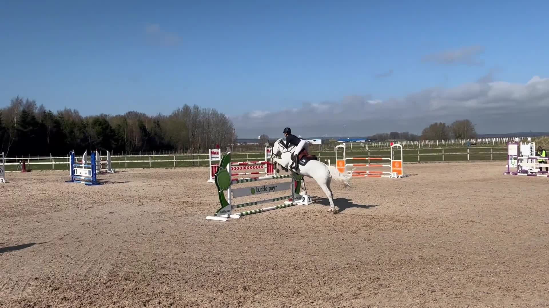 Hoppning hästar till salu: Rutinerad tävlingsponny - Video 1