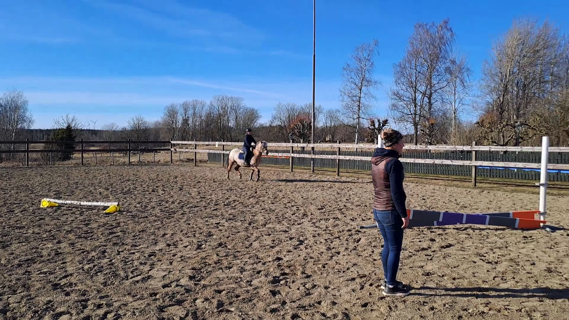 Allround hästar till salu: Tuff ridponny valack - Video 1