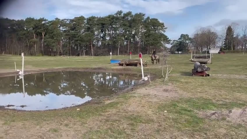 Fälttävlan hästar till salu: Fantastisk fälttävlansponny i Uppsala - Video 2