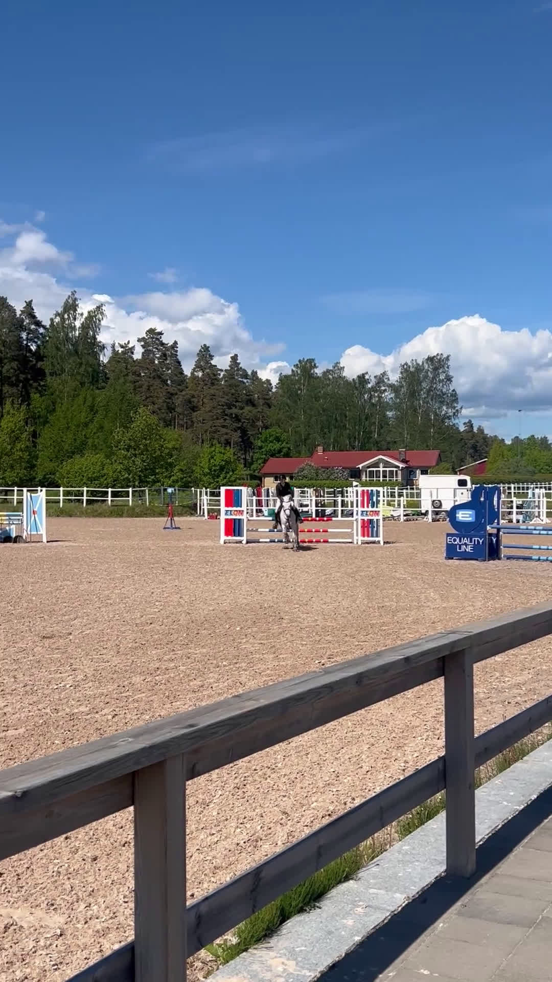 Avelshästar hästar till salu: Lovande ponny för framtiden  - Video 2