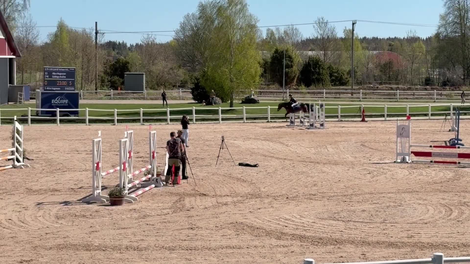 Hoppning hästar till salu: B-ponny med kapacitet  - Video 1