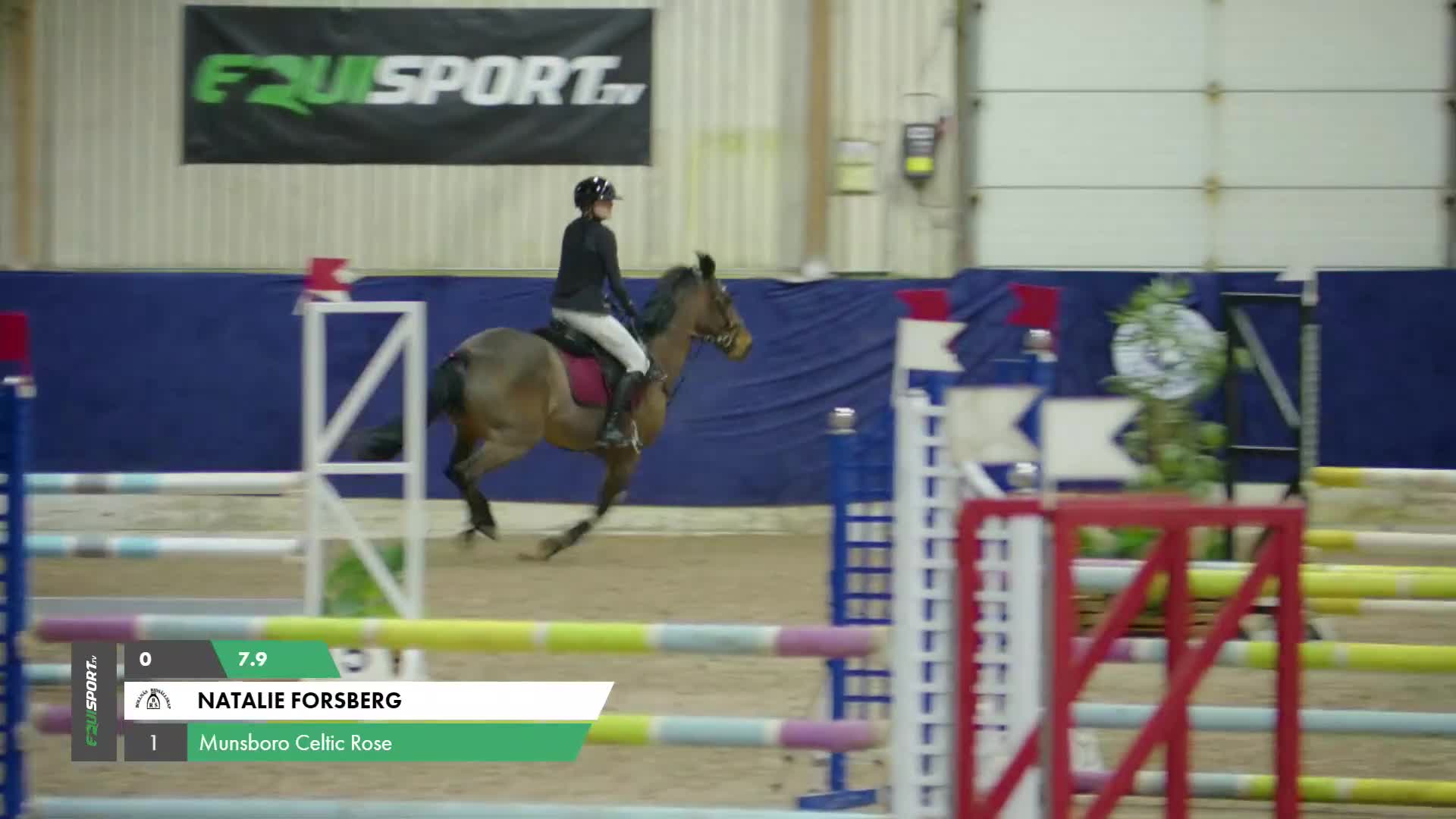 Allround hästar till salu: Ponnyn med hjärtat av guld❤️‍🔥 i Kilafors - Video 1