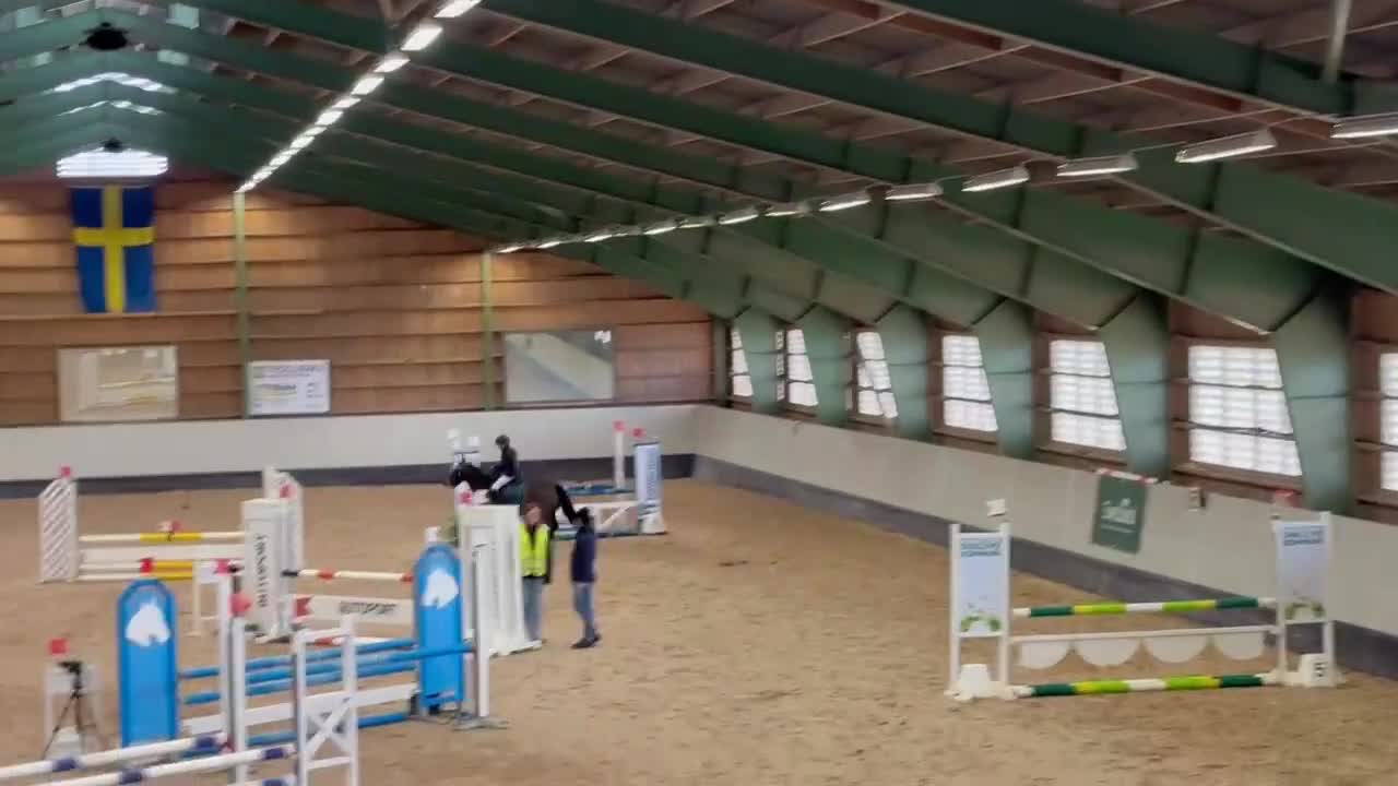 Hoppning hästar till salu: En fantastisk första tävlingsponny!! - Video 1