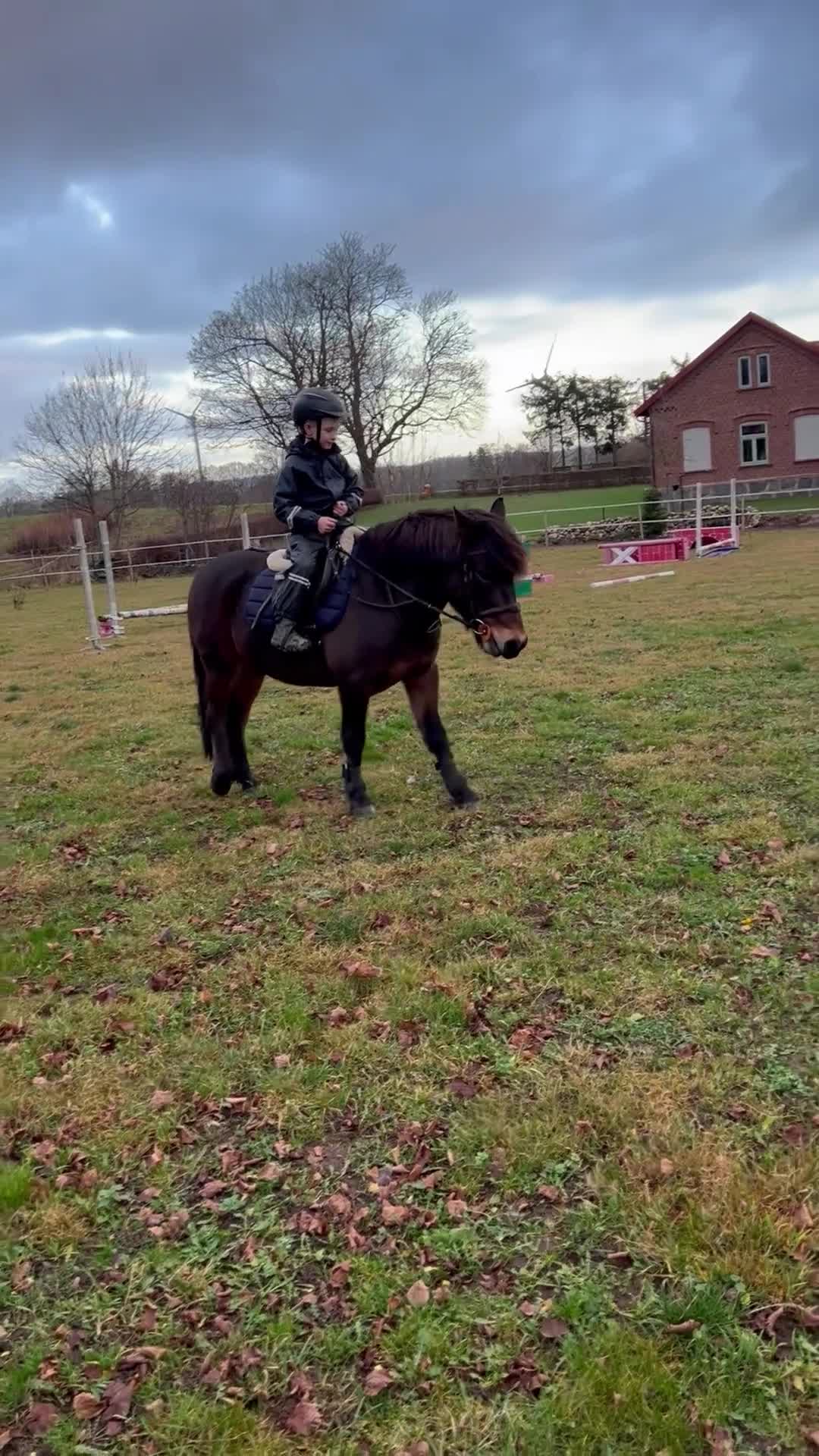 Allround hästar till salu: Trygg B-ponny - perfekt första ponny 🐴 - Video 3