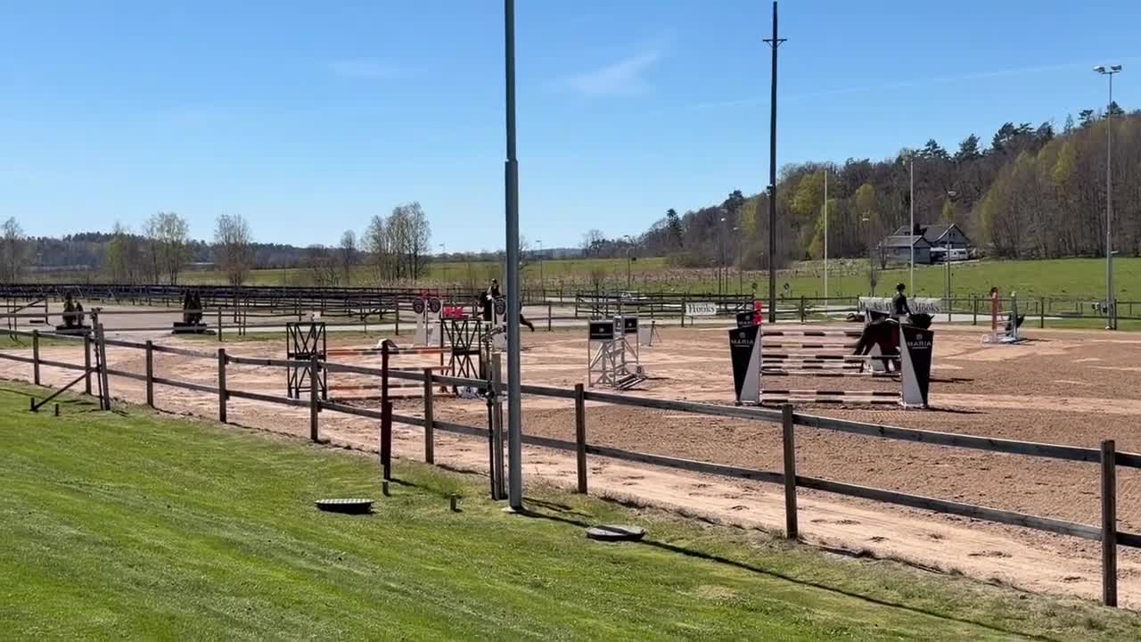 Hoppning hästar till salu: Intressekoll - Video 1