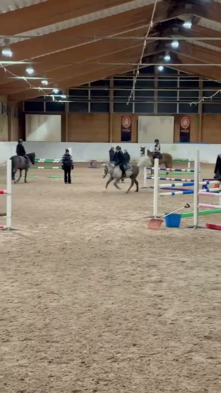 Hoppning hästar till salu: Rosettplockande läromästare kat B  - Video 2