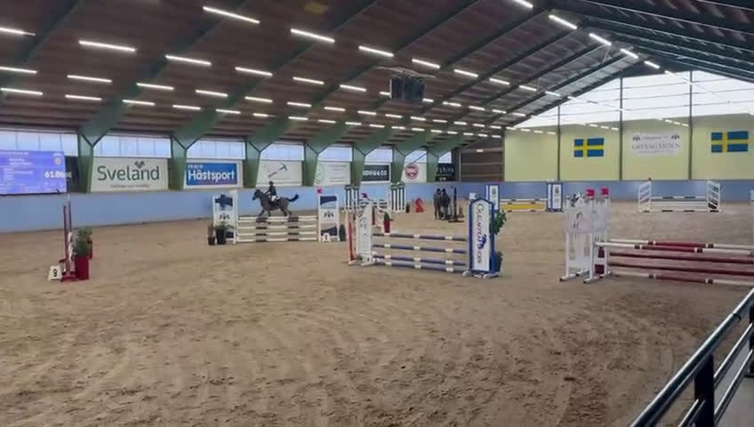 Hoppning hästar till salu: Världens bästa vän och tävlingskamrat! i Viken - Video 3