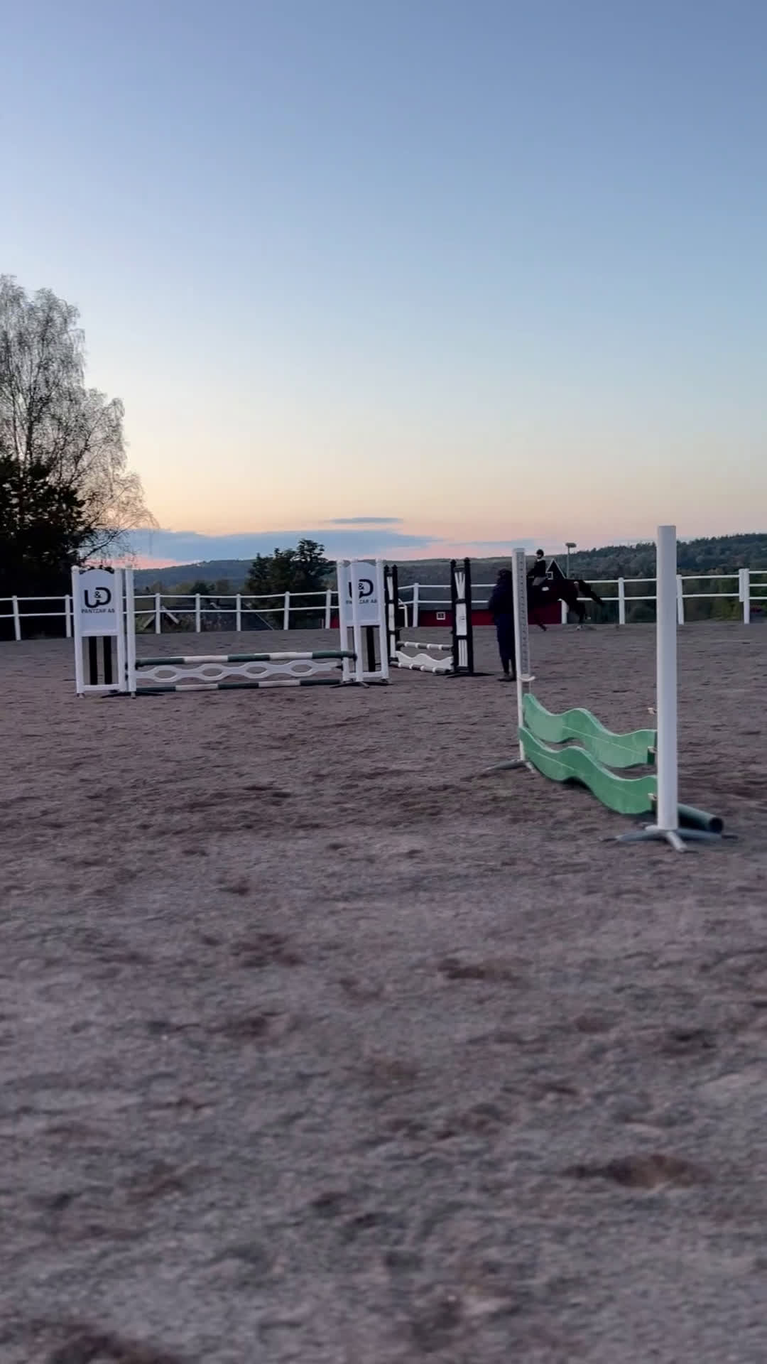 Hoppning hästar till salu: Fynd 🌟 - Video 2