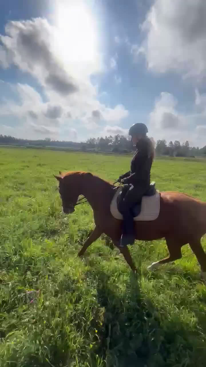  medryttarhäst finnes: Medryttare sökes till två ston. i Märsta - Video 1