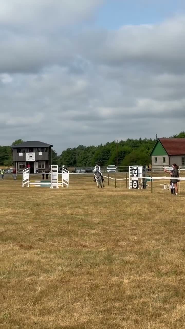Allround hästar till salu: Superfin D ponny!  - Video 4