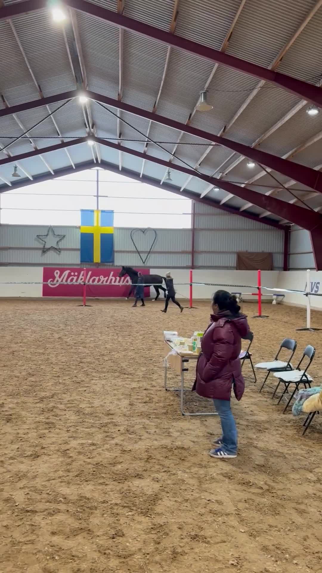 Allround hästar till salu: Väldigt trevlig unghäst i Vetlanda - Video 1