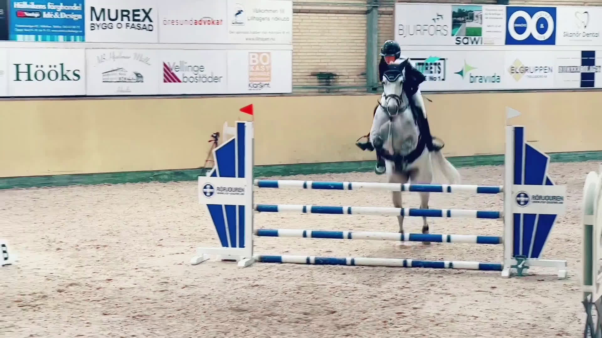 Hoppning hästar till salu: Vänlig tävlingshäst.  i Linköping - Video 3