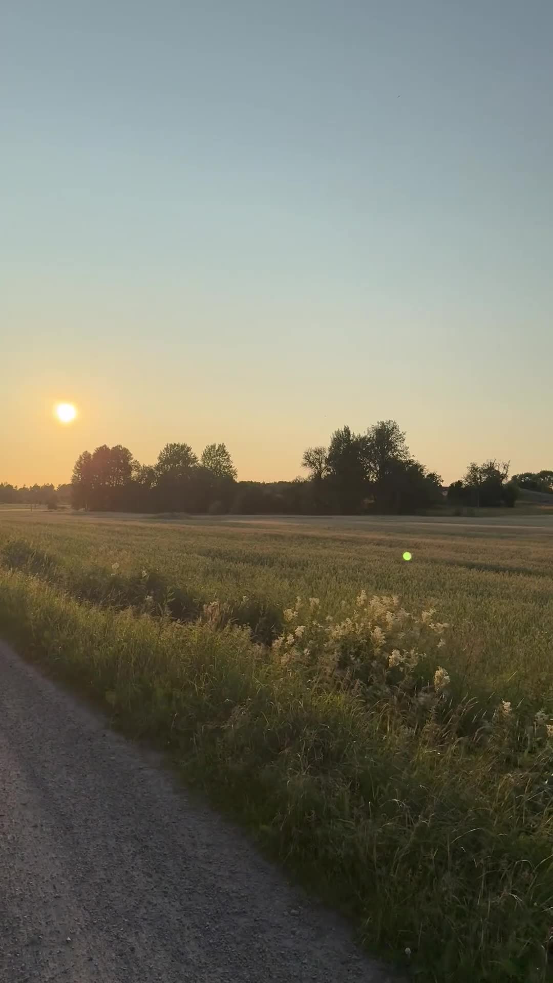  stallplats finnes: Lösdriftsplats med eller utan egen box finnes  i Vallentuna - Video 1
