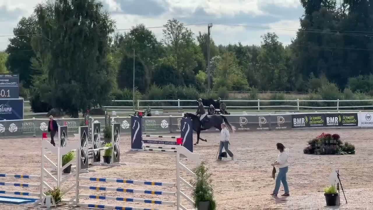 Hoppning hästar till salu: Storhoppande 4åring - Video 3
