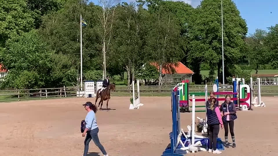 Hoppning hästar till salu: Lovande hopphäst i Våxtorp - Video 1