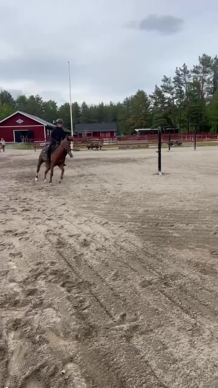Allround hästar till salu: Superfint C-ponny sto tillsalu🌟 - Video 2