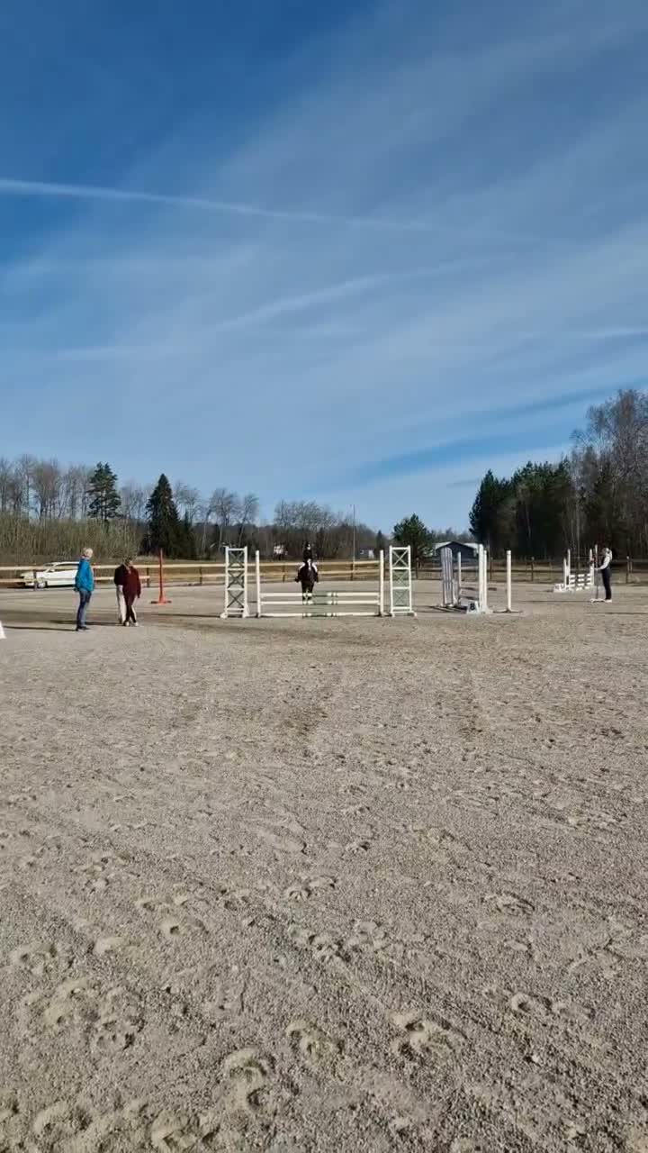 Allround hästar till salu: Ljuvligt sto för allround ❤️ - Video 1