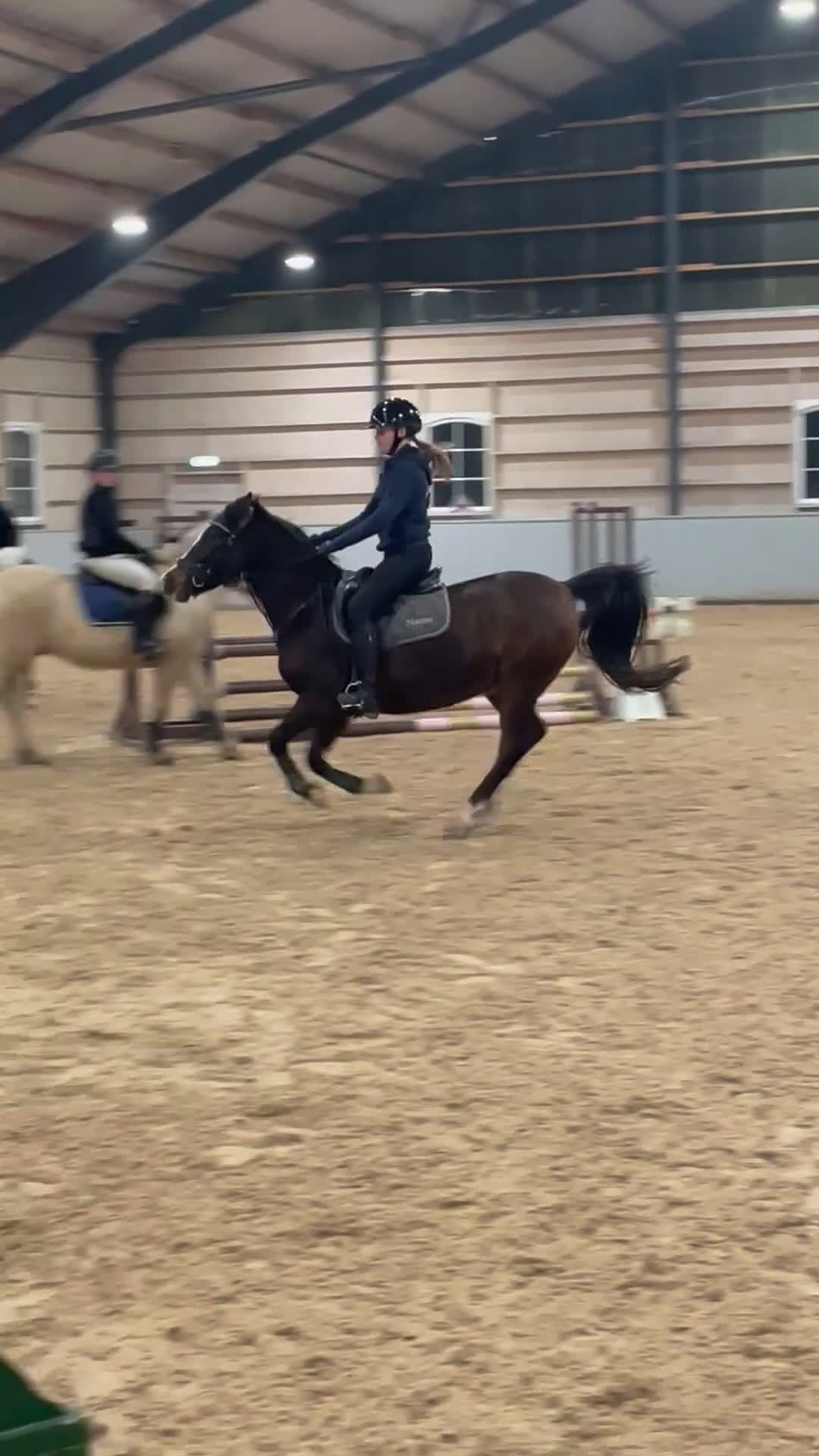 Allround hästar till salu: Lyxig läromästare! i Veddige - Video 1