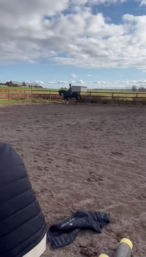 Allround hästar till salu: Bästa hästen ⭐️ i Fjugesta - Video 1