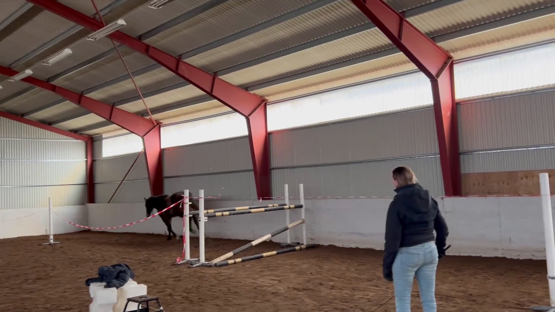 Hoppning hästar till salu: Trevlig 2åring i Gustavsberg - Video 3