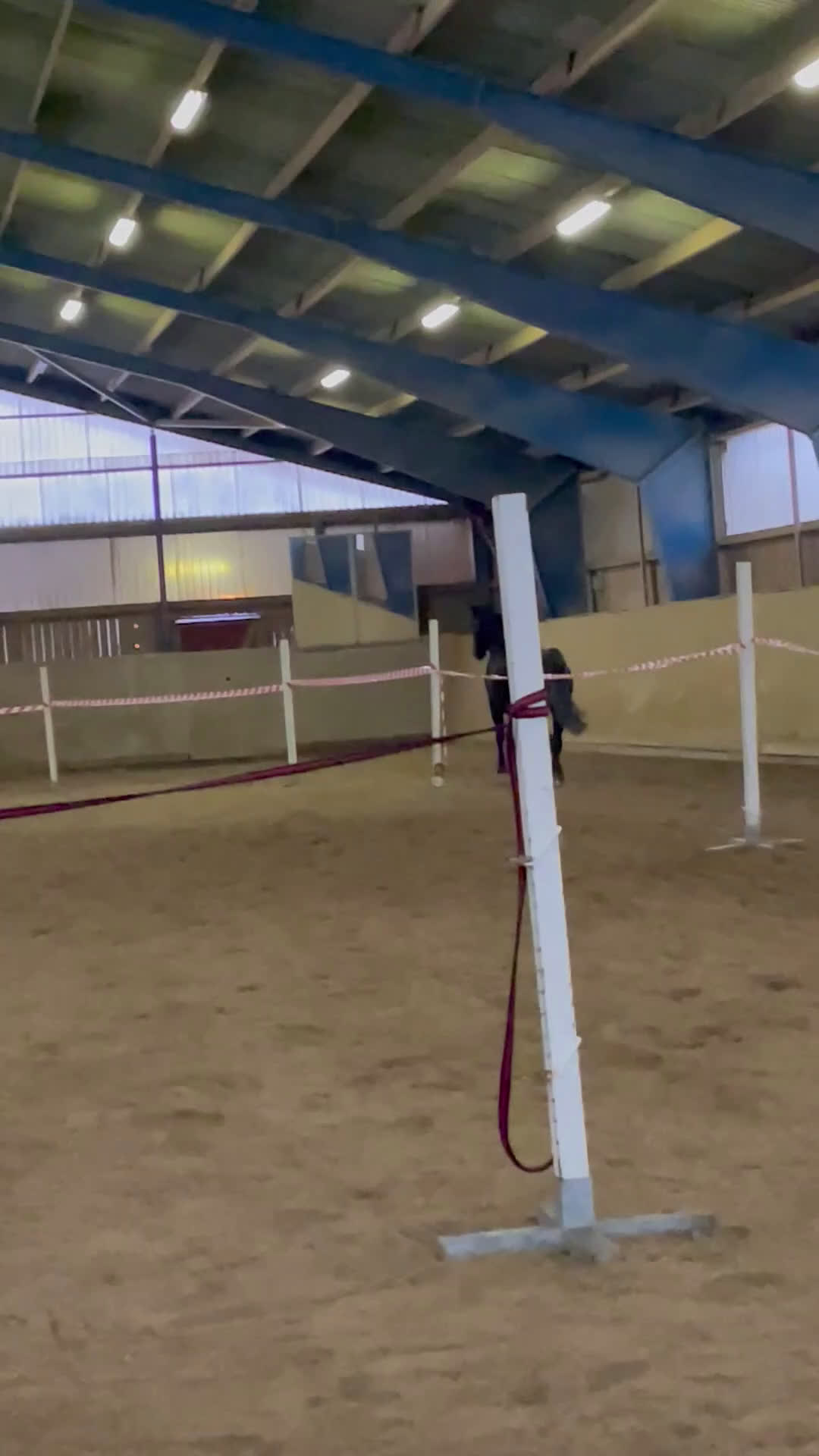 Allround hästar till salu: Vackert sto söker erfaren hästmänniska med NH tänk i Åkers Styckebruk - Video 1