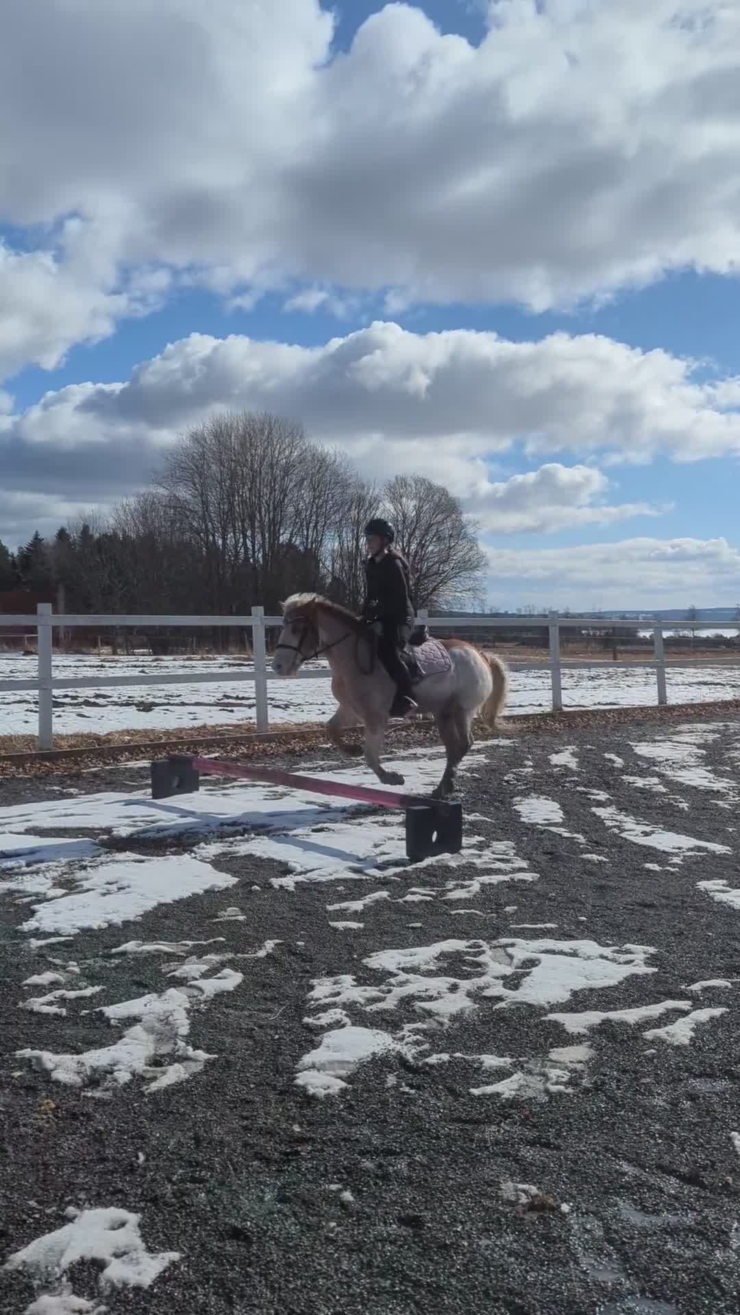 Allround hästar till salu: Sockersöt B-Ponny!❤️🎀 - Video 4