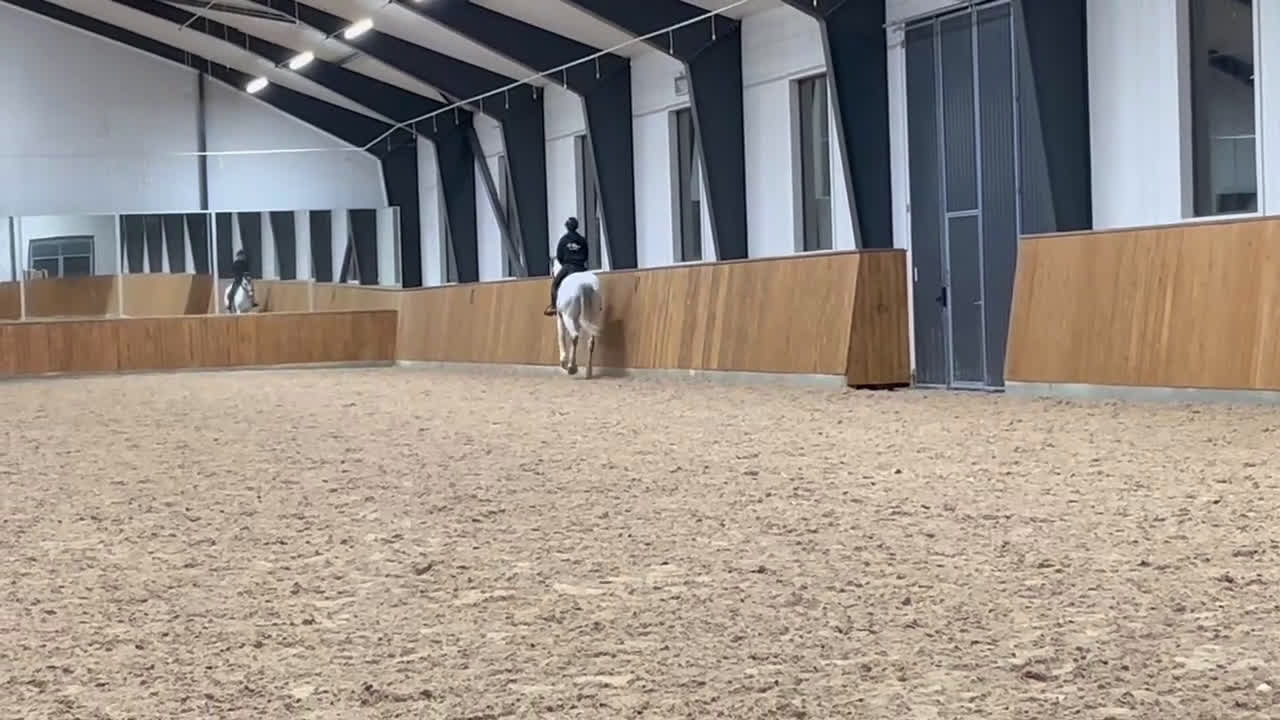 Allround hästar till salu: Fin & mysig bästa vän att träna och utvecklas med - Video 3