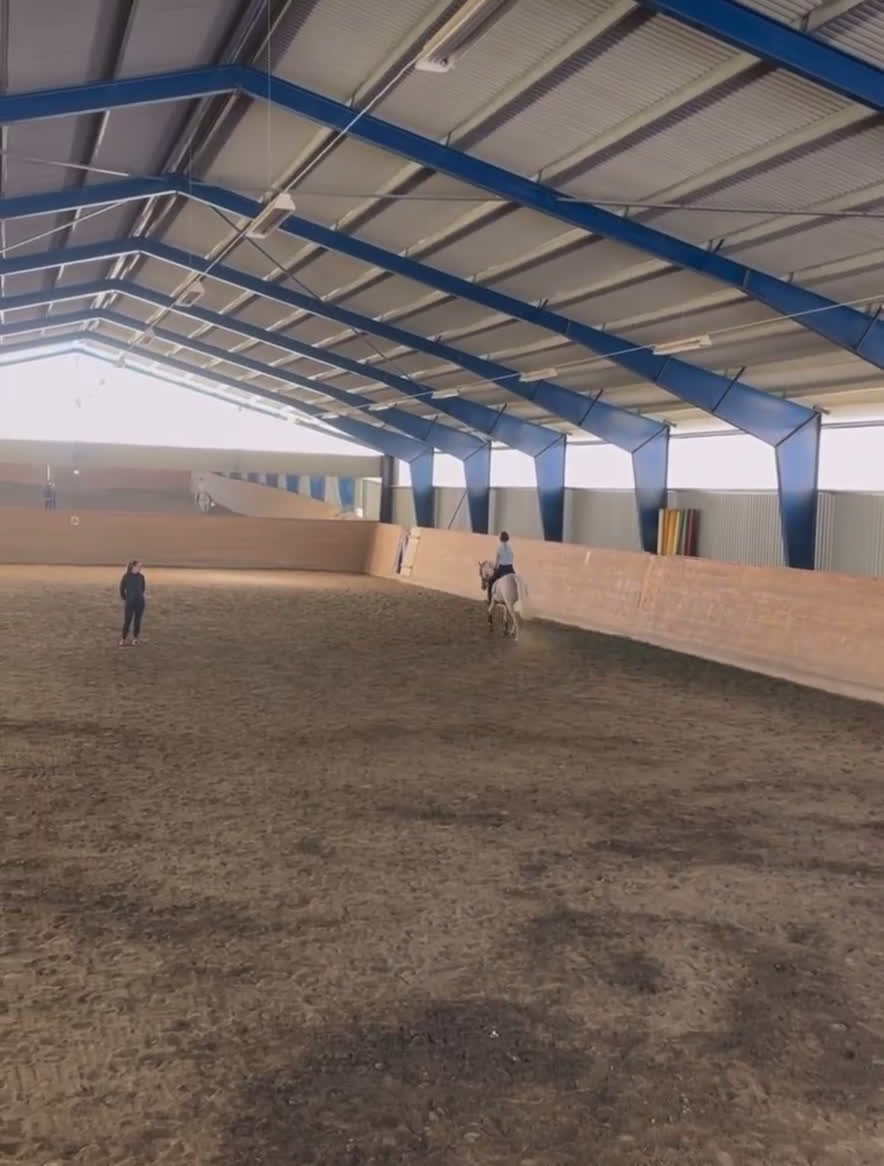 Dressyr hästar till salu: Världens bästa ponny - Video 2