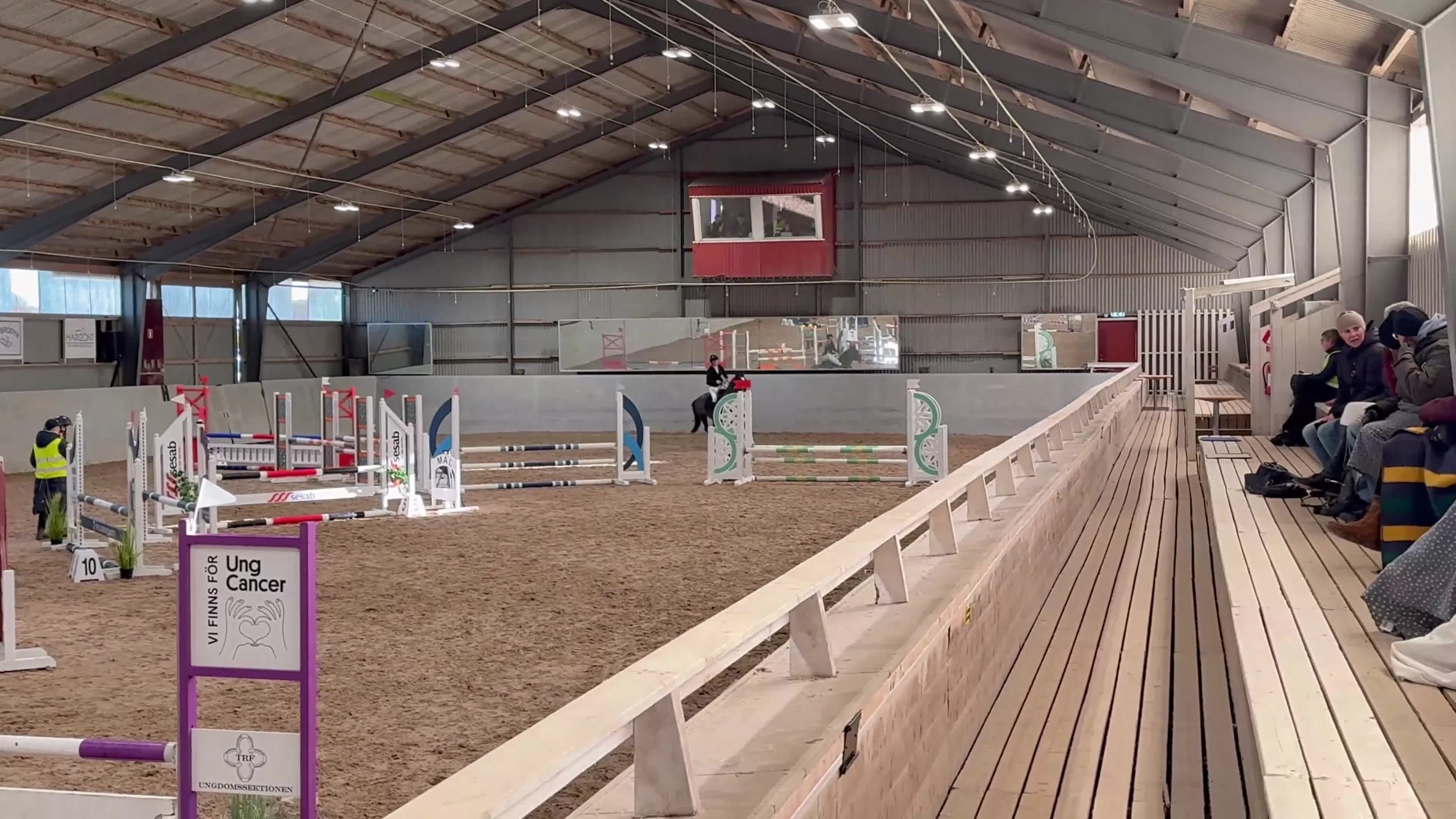  foderhäst finnes: Majsen söker Fodervärd! i Trelleborg - Video 3