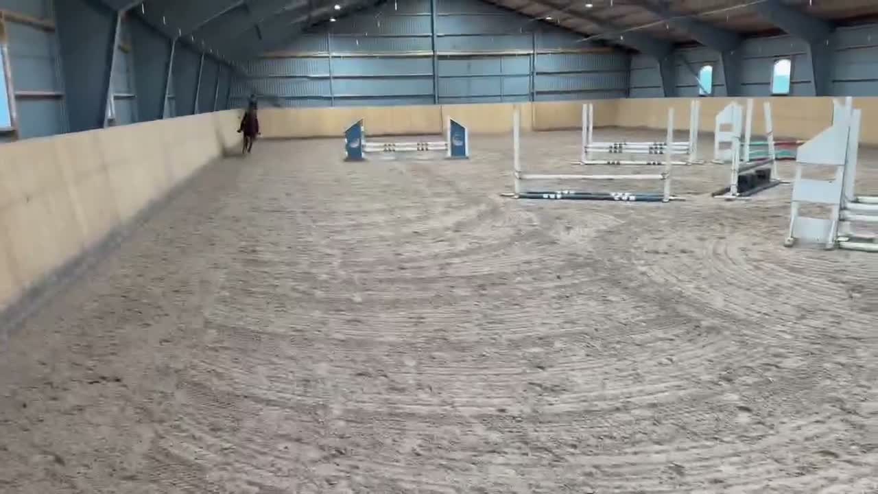 Allround hästar till salu: ⭐️VACKERT STO MED MYCKET POTENTIAL⭐️ - Video 4