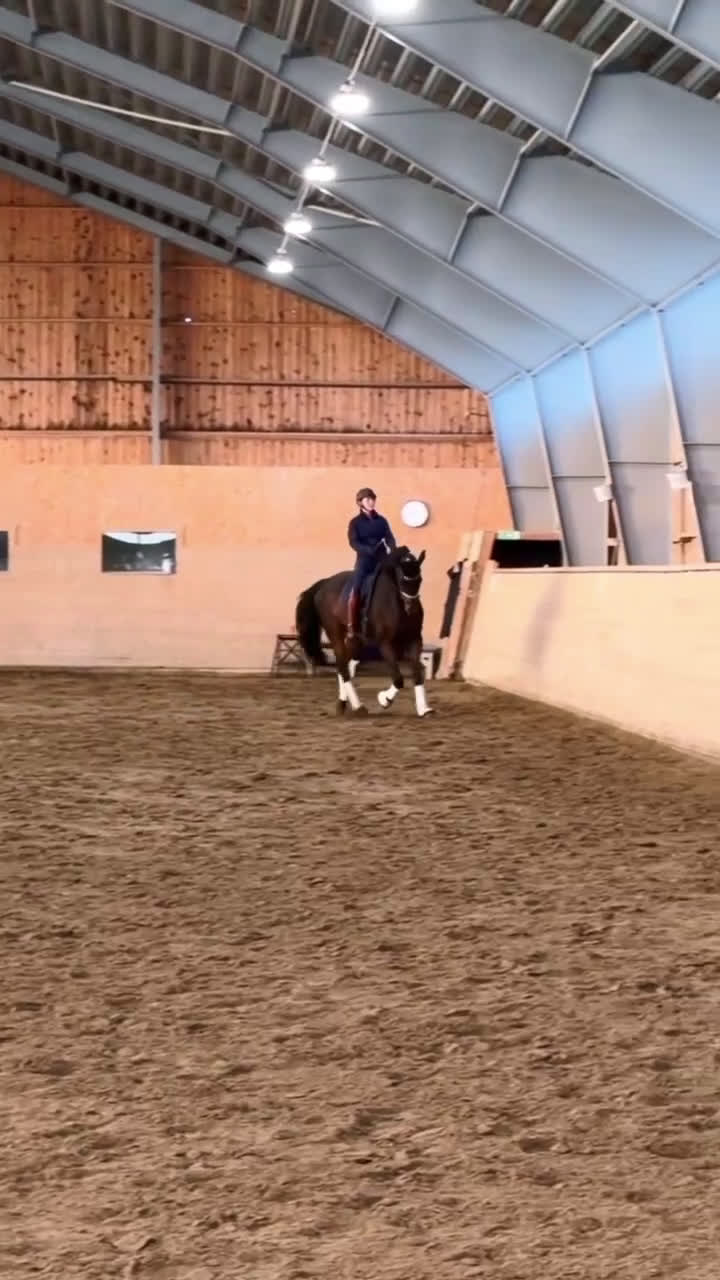 Dressyr hästar till salu: Snygg Dressyrhäst  i Märsta - Video 1