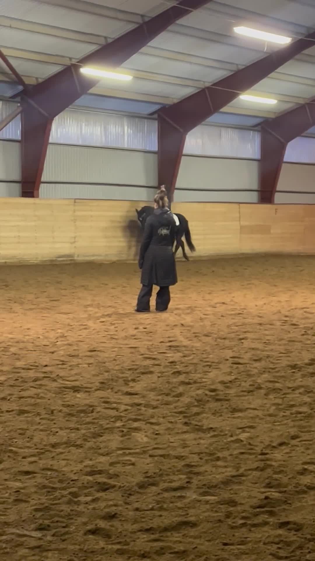 Hoppning hästar till salu: Lovande ungponny, e. Converse All star  - Video 3