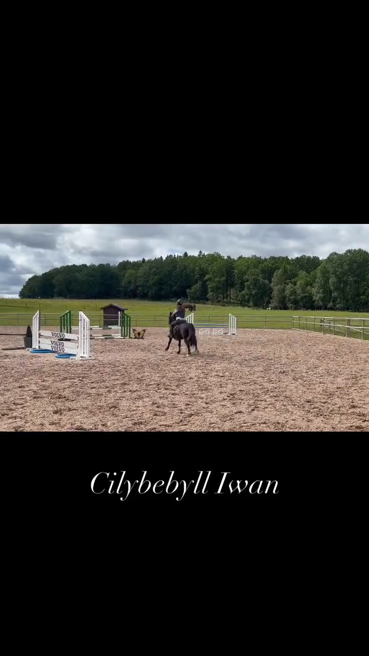 Hoppning hästar till salu: Maxad B-ponny! i Göteborg - Video 1